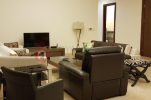 Royal Castle Property (7)